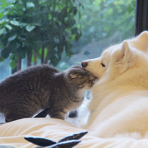 女人被添荫蒂洗澡视频
